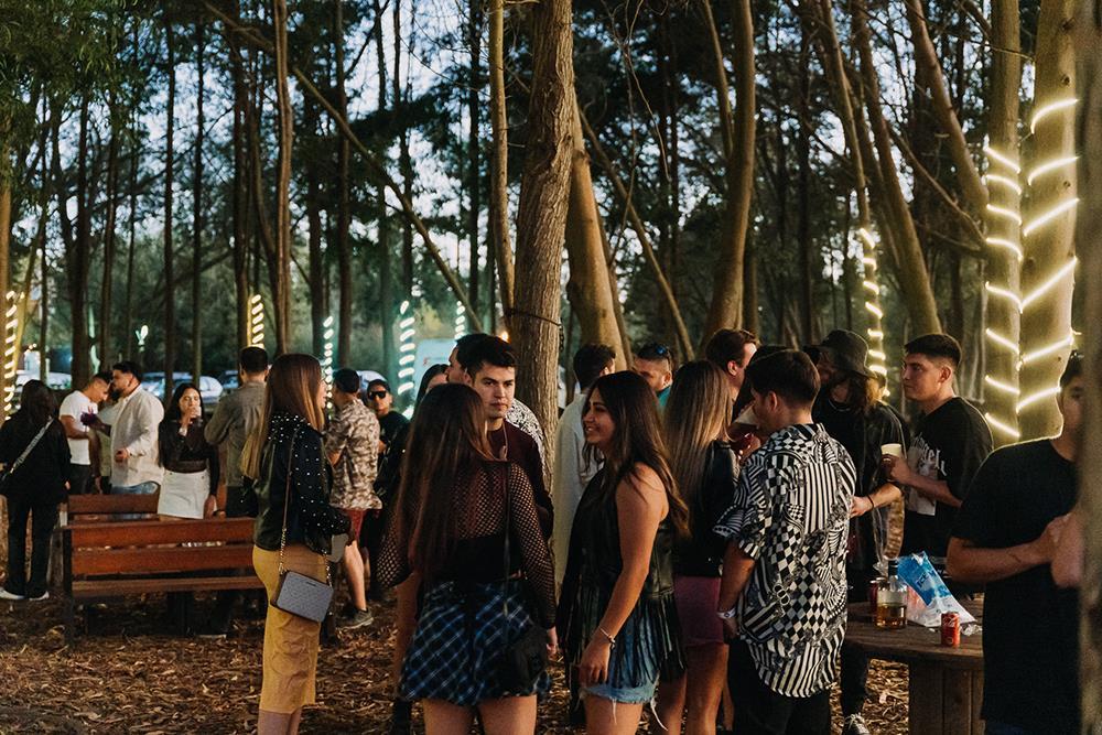 Jornada de coaching en el bosque de Bosque Mar